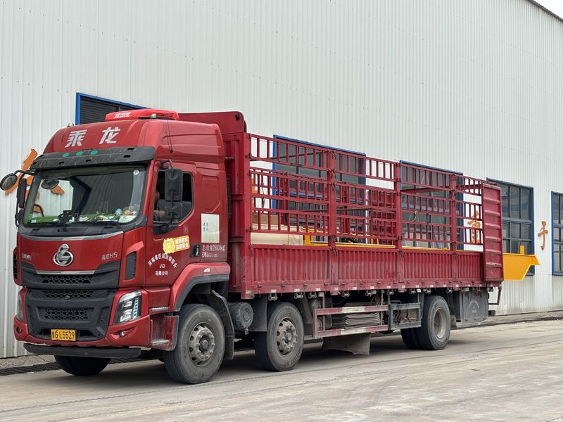 歐式葫蘆雙 LHO12.5t-10m 制作完成 裝車發(fā)出